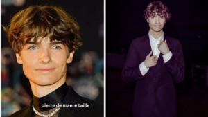 pierre de maere taille